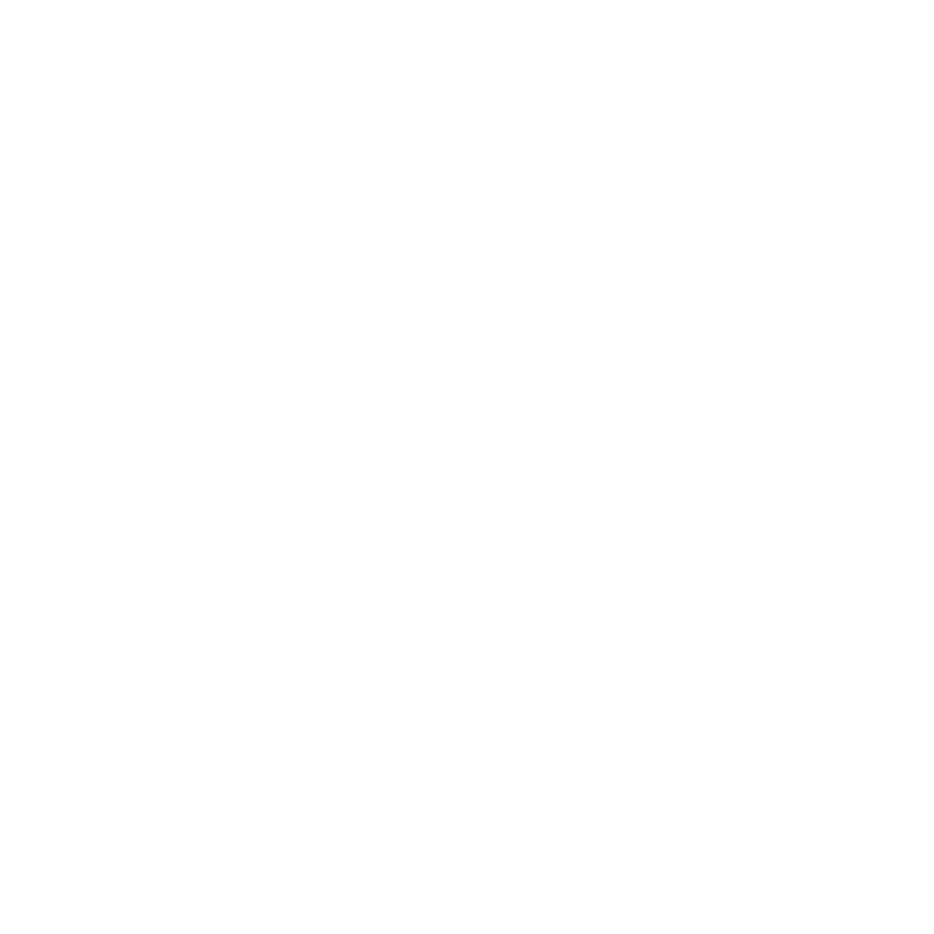 BrisaShopTech