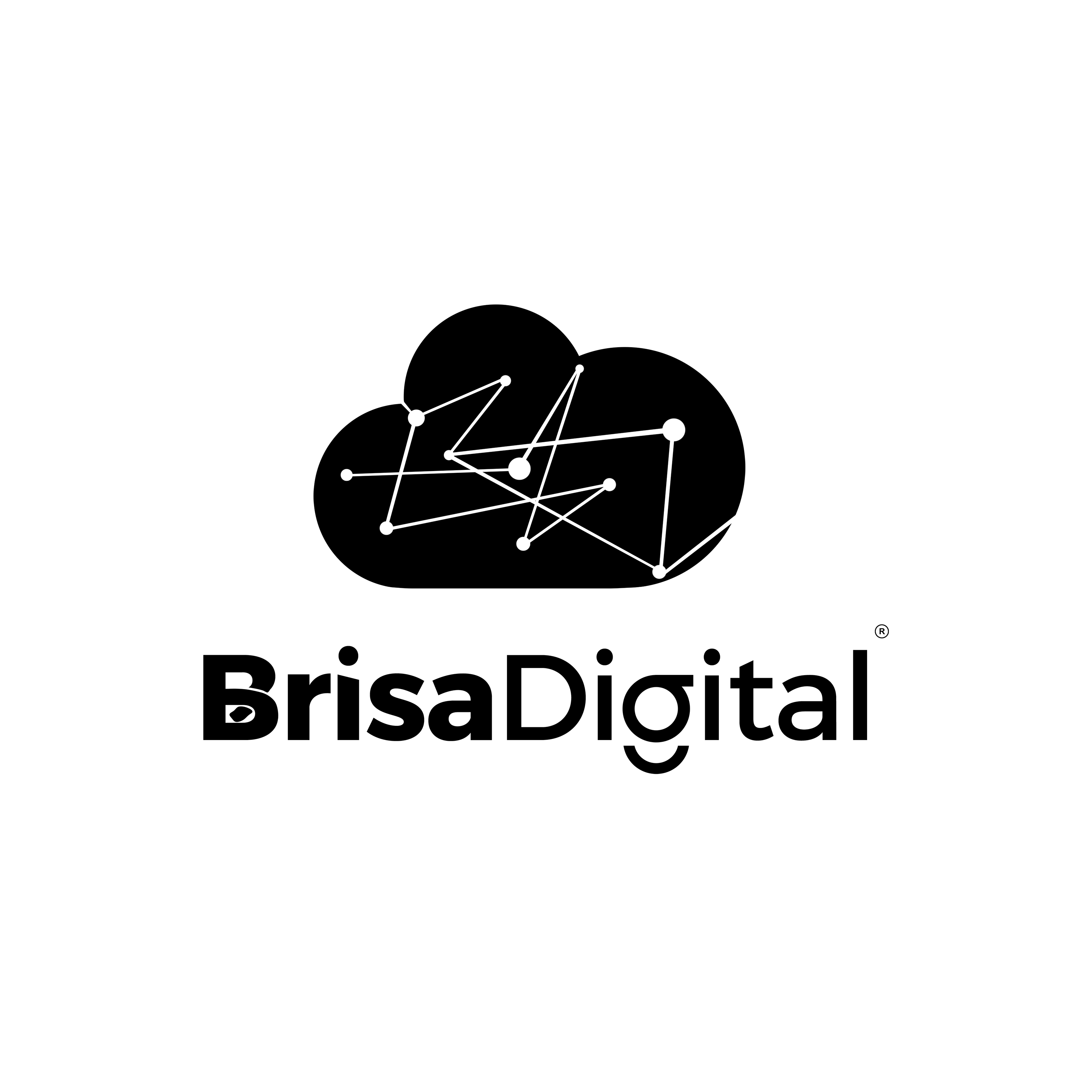 BrisaShopTech